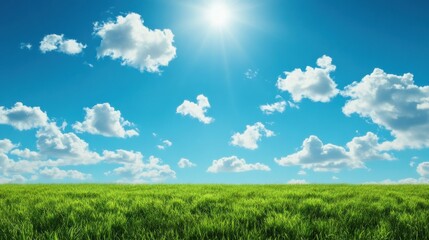 Poster - Bright and expansive meadow with lush green grass under a clear blue sky filled with fluffy clouds. Generative AI