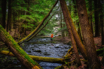 Wall Mural - With no snow on the ground on this cold winter day, you might think it was Spring or Summer. Wife dressed in orange stands in the forest along a creek in Cole Park in Windsor in Upstate NY.