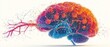 © Itsaree  - A creative representation of a stylized brain with bright, colorful neural pathways, illustrating the complexity and beauty of the human brain in neurology