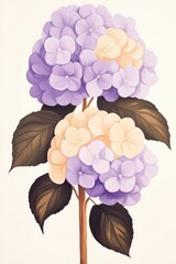 Wall Mural - Hydrangeas as vintage botanical illustration, paint brush texture