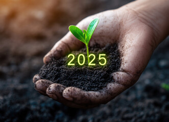 Child's hand holding 2025 seedling, soil, growth