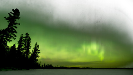 Wall Mural - muted colored northern lights aurora fading to transparent above a northern forest and lake