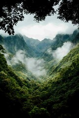 Wall Mural - Lush Green Valley Mist Shrouded Mountains