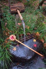 Wall Mural - traditional japanese cleansing basin in autumn