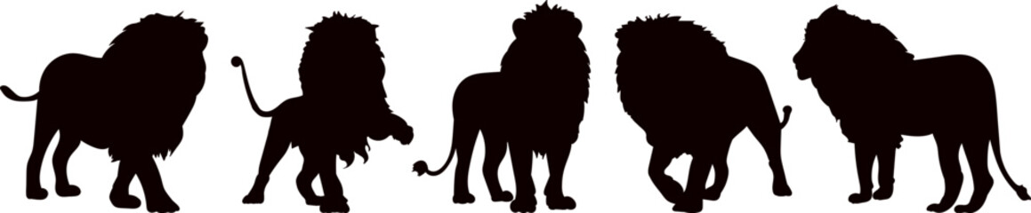 Wall Mural - lions with mane collection silhouette on white background vector