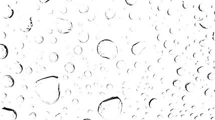 Fototapete - Closeup of Isolated Transparent Water Droplets with Reflections Against a Clean White Background  Minimalist and Serene Macro Photography of Liquid Spheres