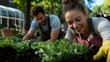 © Yuliia - Young diverse couple working together in vegetable garden, planting lettuce seedlings while wearing aprons and gardening gloves on sunny spring day.