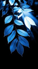 Poster -   Blue leaf on black background with central light source