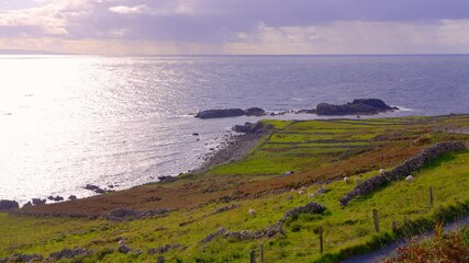 Wall Mural - Arranmore Island in Donegal IrelandA stunningly beautiful view of a picturesque coastal landscape that features charming houses amidst vibrant greenery