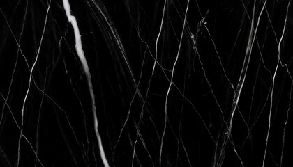 Aufkleber - luxurious black marble texture with elegant white veins, high-resolution stone pattern for interior design, flooring, and background