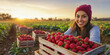 © plysuikvv - Smiling woman harvesting strawberries at sunset