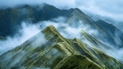 Poster - A scenic view of a mountain covered in lush green grass and surrounded by white clouds, perfect for outdoor or nature-themed designs