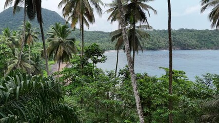 Canvas Print - Sao Tome and Principe - Flying Through Tropical Palms Near Micondo. A Paradise of Lush Greenery, Pristine Beaches, and Scenic Coastline.