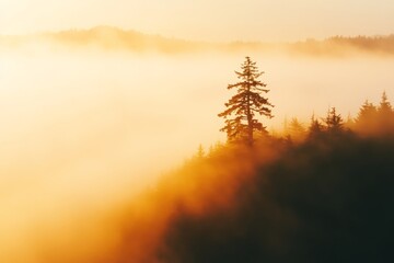Poster - Dense fog rolls through a forest clearing, highlighting a single tall pine tree against a soft, diffused light, creating a tranquil atmosphere