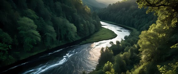 Wall Mural - Majestic river meandering through lush forests revealing hidden gems along its banks