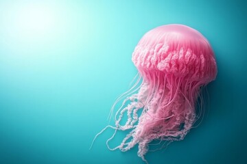 Leinwandbilder - A vibrant pink jellyfish floats elegantly in clear turquoise water. Its delicate tentacles glow softly under the warm filtered sunlight, creating a tranquil atmosphere