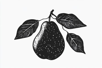 Canvas Print - An ink sketch of a pear, hand-drawn in a modern style, isolated on a white background