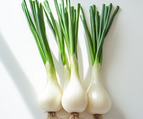 Wall Mural - fresh green onion