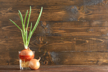 Wall Mural - Glass with cultivated green onion on wooden background