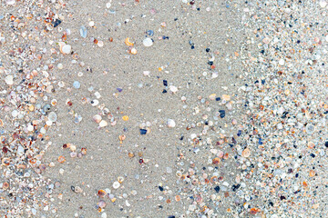 Sand and shell Background for design