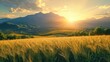 © ANEK - gold wheat field at agriculture plantation farm in the morning sunrise