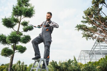 the gardener trims the trees