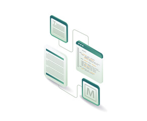 Wall Mural - web application screen with programming language