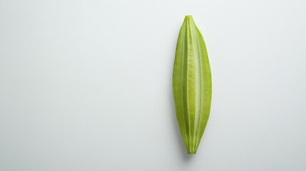 Wall Mural - Okra Pod on Neutral Background: A vibrant green okra pod is presented in a clean, minimalist style against a neutral backdrop, highlighting its unique texture and form.