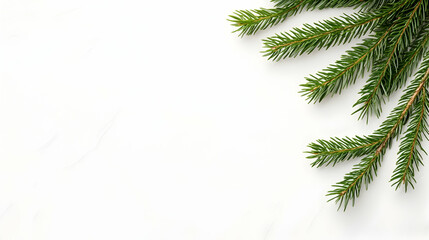 Wall Mural - Festive fir branch corner border on white wood background; ideal for holiday cards