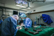 © Daniel Gonzalez/Stocksy - Group of vet surgeons operating dog leg wound in clinic