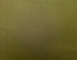 © l1gend - Brown green cloth surface. Gradient. Olive colors. Abstract fabric background with space for design. Canvas. Rough, grainy, durable. Matte, shimmer. Template, empty.