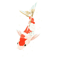 Wall Mural - Cute koi illustration animal fish underwater vector