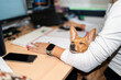 © Alvaro Lavin/Stocksy - Small dog sleeping on the arm of a woman working from home