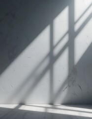 Wall Mural - Light and Shadow Play on a White Wall