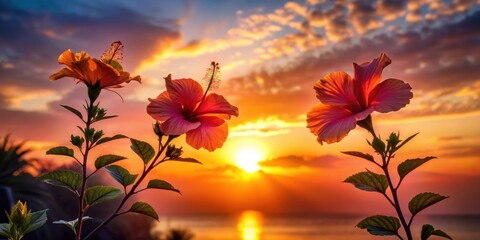 Wall Mural - Silhouettes of hibiscus flowers against a sunset sky ,  nature, silhouette, hibiscus, flower, sunset, sky, tropical, exotic