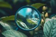 © afterfast - Magnifying glass examining leaf, garden, nature, research
