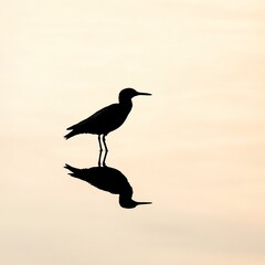 Wall Mural - elegant silhouette of a bird against a serene sunset sky