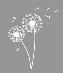 vector illustration of dandelion flower blowing in the wind. black dandelion seeds flying in the win