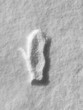© Irina Ozhigova/Stocksy - Snowy landscape with one mitten print on loose snow