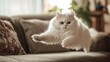 © Nathaphat - Fluffy white cat jumping on a couch in a cozy living room.