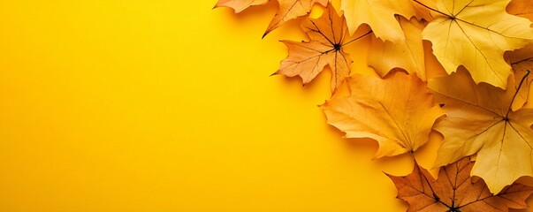 Wall Mural - Vibrant autumnal border of colorful maple leaves against a bright yellow background