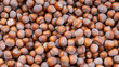 © Inna Reznik/Stocksy - Fresh Hazelnuts In Shells With Mocha Brown Hues