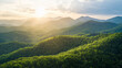 © Platoo studio - Aerial view of sprawling green forest with sunlight streaming over rolling hills and distant mountains