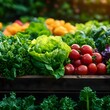 © Arthur Constantine - Fresh Vegetables in Wooden Crate
