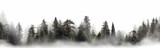 coniferous forest isolated on a white background panorama, tops of fir trees.