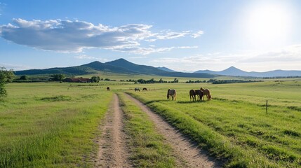 Canvas Print - Horses graze in a grassy field, dirt road leads to mountains. Peaceful ranch scene