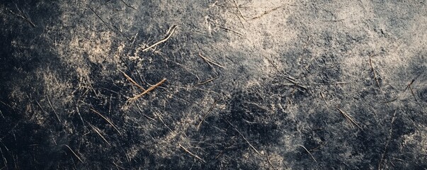 Poster - Dark grunge scratched surface texture background showing dry pine needles