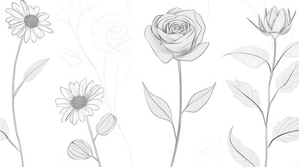 Wall Mural - Elegant line art floral design; roses, daisies; white background; for print, web design