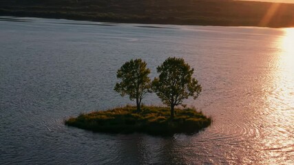 Leinwandbilder - a small island with a solitary tree framed by a giant glowing sun.