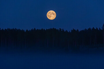 Sticker - full moon over the forest	